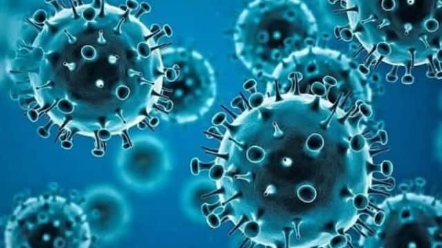 Confirmation of Omicron B A.4, a new form of corona in China